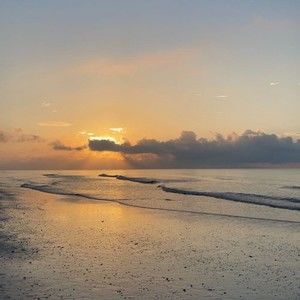 Meet your Posher, Marit